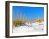 White Sand Dunes along Florida's Gulf Coast-James Kirkikis-Framed Photographic Print