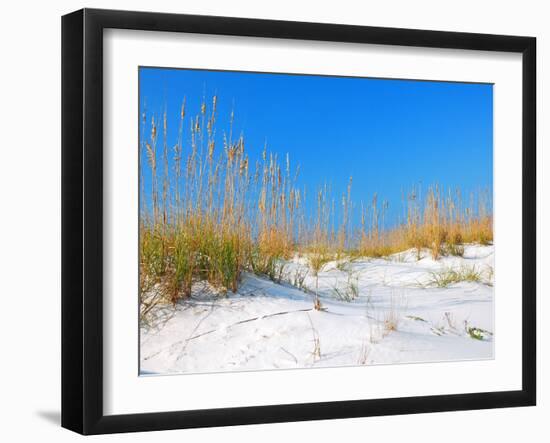 White Sand Dunes along Florida's Gulf Coast-James Kirkikis-Framed Photographic Print