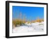 White Sand Dunes along Florida's Gulf Coast-James Kirkikis-Framed Photographic Print