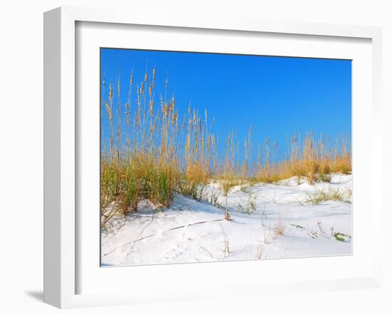 White Sand Dunes along Florida's Gulf Coast-James Kirkikis-Framed Photographic Print
