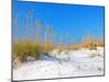 White Sand Dunes along Florida's Gulf Coast-James Kirkikis-Mounted Photographic Print