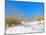 White Sand Dunes along Florida's Gulf Coast-James Kirkikis-Mounted Photographic Print