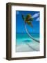 White sand PK-9 beach, Fakarava, Tuamotu archipelago, French Polynesia-Michael Runkel-Framed Photographic Print