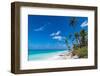 White sand PK-9 beach, Fakarava, Tuamotu archipelago, French Polynesia-Michael Runkel-Framed Photographic Print