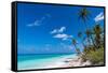 White sand PK-9 beach, Fakarava, Tuamotu archipelago, French Polynesia-Michael Runkel-Framed Stretched Canvas