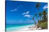 White sand PK-9 beach, Fakarava, Tuamotu archipelago, French Polynesia-Michael Runkel-Stretched Canvas