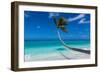 White sand PK-9 beach, Fakarava, Tuamotu archipelago, French Polynesia-Michael Runkel-Framed Photographic Print