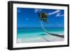 White sand PK-9 beach, Fakarava, Tuamotu archipelago, French Polynesia-Michael Runkel-Framed Photographic Print