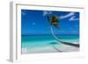 White sand PK-9 beach, Fakarava, Tuamotu archipelago, French Polynesia-Michael Runkel-Framed Photographic Print