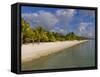 White Sand, Trou Aux Biches Beach, Mauritius, Indian Ocean, Africa-null-Framed Stretched Canvas