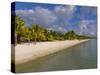 White Sand, Trou Aux Biches Beach, Mauritius, Indian Ocean, Africa-null-Stretched Canvas