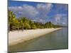 White Sand, Trou Aux Biches Beach, Mauritius, Indian Ocean, Africa-null-Mounted Photographic Print