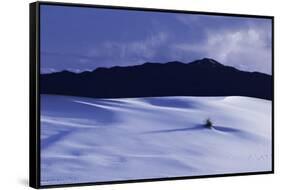 White Sands And San Andres Mountain Range N M-Steve Gadomski-Framed Stretched Canvas