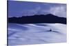 White Sands And San Andres Mountain Range N M-Steve Gadomski-Stretched Canvas