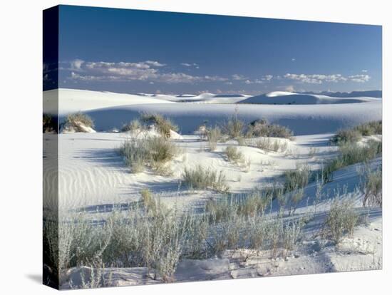 White Sands Desert, New Mexico, USA-Adam Woolfitt-Stretched Canvas
