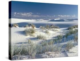 White Sands Desert, New Mexico, USA-Adam Woolfitt-Stretched Canvas