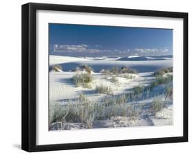 White Sands Desert, New Mexico, USA-Adam Woolfitt-Framed Photographic Print