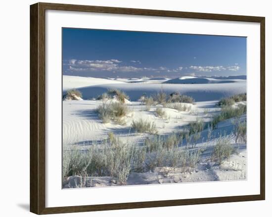 White Sands Desert, New Mexico, USA-Adam Woolfitt-Framed Photographic Print