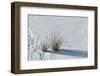 White Sands Grasses-Steve Gadomski-Framed Photographic Print
