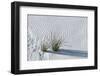 White Sands Grasses-Steve Gadomski-Framed Photographic Print