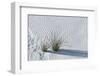 White Sands Grasses-Steve Gadomski-Framed Photographic Print