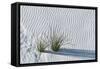 White Sands Grasses-Steve Gadomski-Framed Stretched Canvas