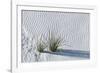 White Sands Grasses-Steve Gadomski-Framed Photographic Print