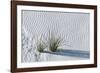 White Sands Grasses-Steve Gadomski-Framed Photographic Print