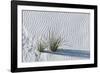 White Sands Grasses-Steve Gadomski-Framed Photographic Print