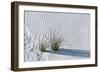 White Sands Grasses-Steve Gadomski-Framed Photographic Print