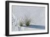 White Sands Grasses-Steve Gadomski-Framed Photographic Print