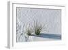 White Sands Grasses-Steve Gadomski-Framed Photographic Print