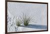 White Sands Grasses-Steve Gadomski-Framed Photographic Print