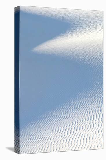 White Sands II-Douglas Taylor-Stretched Canvas