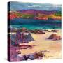 White Sands, Iona, 2011-Peter Graham-Stretched Canvas