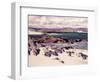 White Sands, Iona-Francis Campbell Boileau Cadell-Framed Giclee Print