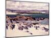 White Sands, Iona-Francis Campbell Boileau Cadell-Mounted Giclee Print