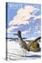 White Sands National Monument, New Mexico - Roadrunner-Lantern Press-Stretched Canvas