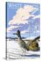White Sands National Monument, New Mexico - Roadrunner-Lantern Press-Stretched Canvas
