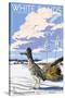 White Sands National Monument, New Mexico - Roadrunner-Lantern Press-Stretched Canvas