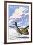 White Sands National Monument, New Mexico - Roadrunner-Lantern Press-Framed Art Print