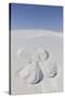 White Sands National Monument, New Mexico, Usa. Sand Angel-Julien McRoberts-Stretched Canvas