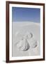 White Sands National Monument, New Mexico, Usa. Sand Angel-Julien McRoberts-Framed Photographic Print