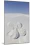 White Sands National Monument, New Mexico, Usa. Sand Angel-Julien McRoberts-Mounted Photographic Print