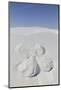 White Sands National Monument, New Mexico, Usa. Sand Angel-Julien McRoberts-Mounted Photographic Print