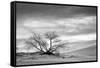 White Sands National Monument, New Mexico-Rob Sheppard-Framed Stretched Canvas