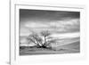 White Sands National Monument, New Mexico-Rob Sheppard-Framed Photographic Print