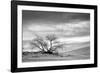 White Sands National Monument, New Mexico-Rob Sheppard-Framed Photographic Print