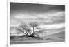 White Sands National Monument, New Mexico-Rob Sheppard-Framed Photographic Print