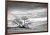 White Sands National Monument, New Mexico-Rob Sheppard-Framed Photographic Print